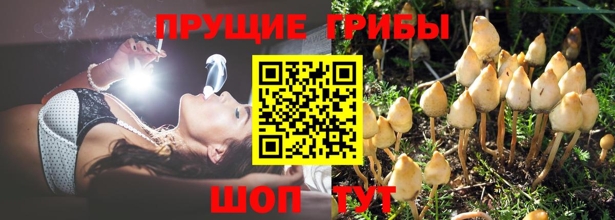 Псилоцибиновые грибы прущие грибы  Галлюциногенные грибы MAGIC MUSHROOMS  Вход с VPN  Удомля 
