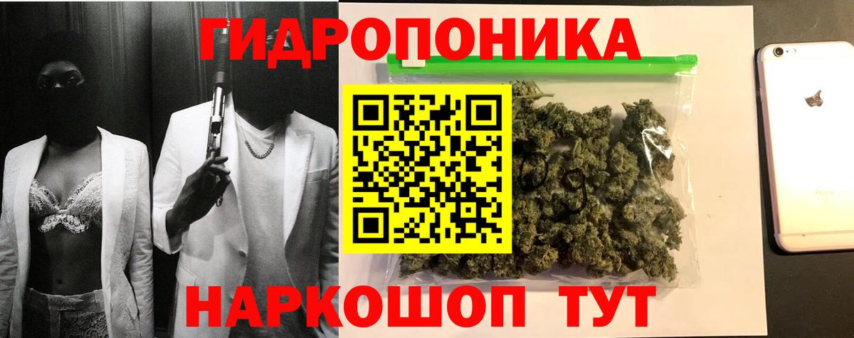 Бошки марихуана Amnesia Удомля